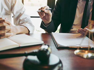 Litigation Support